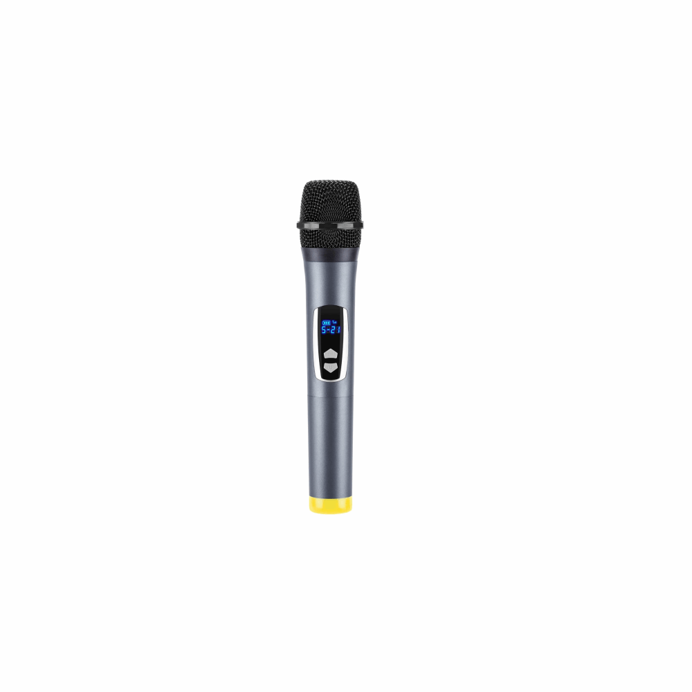 MICROPHONE CONDENSER M800