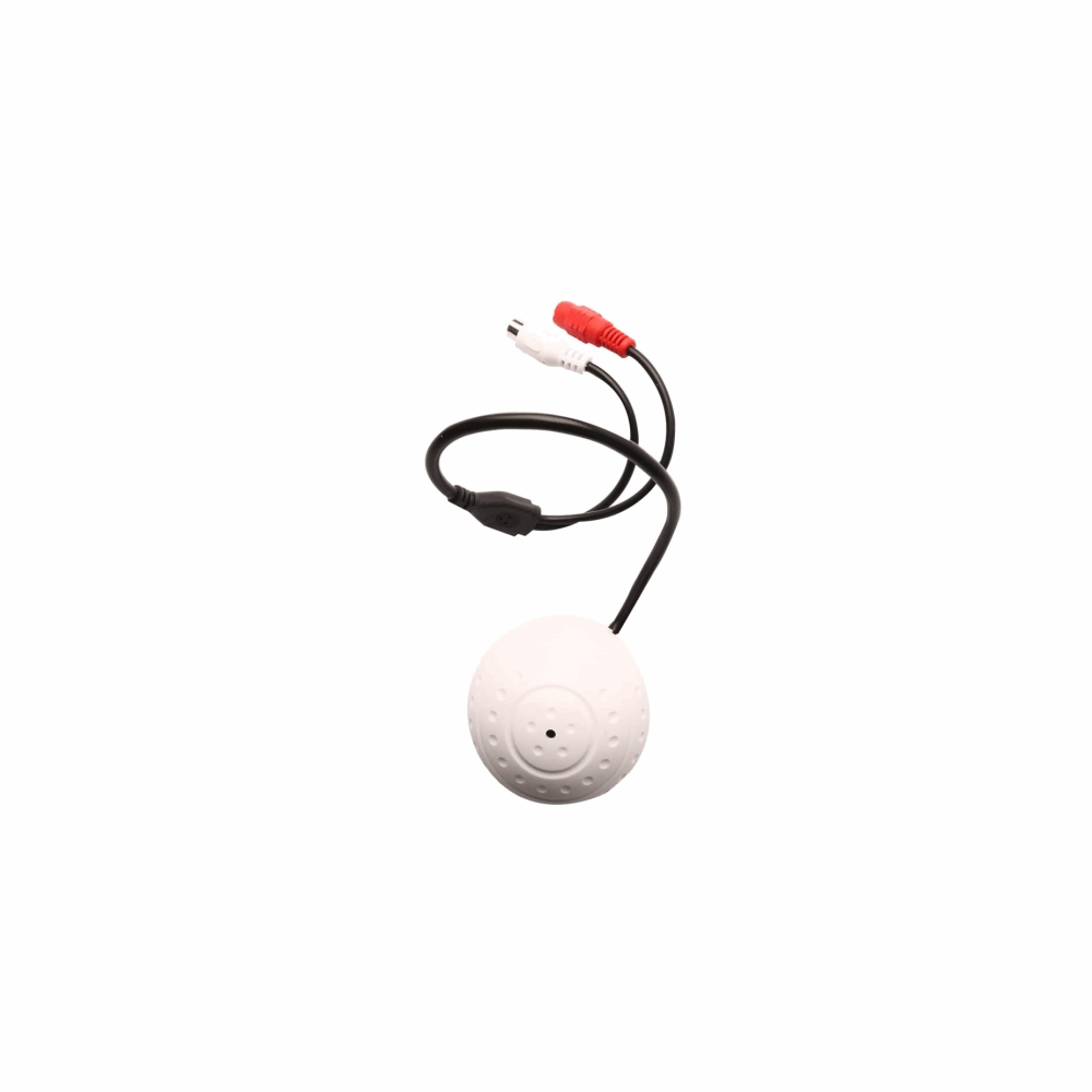 Mic Camera golf