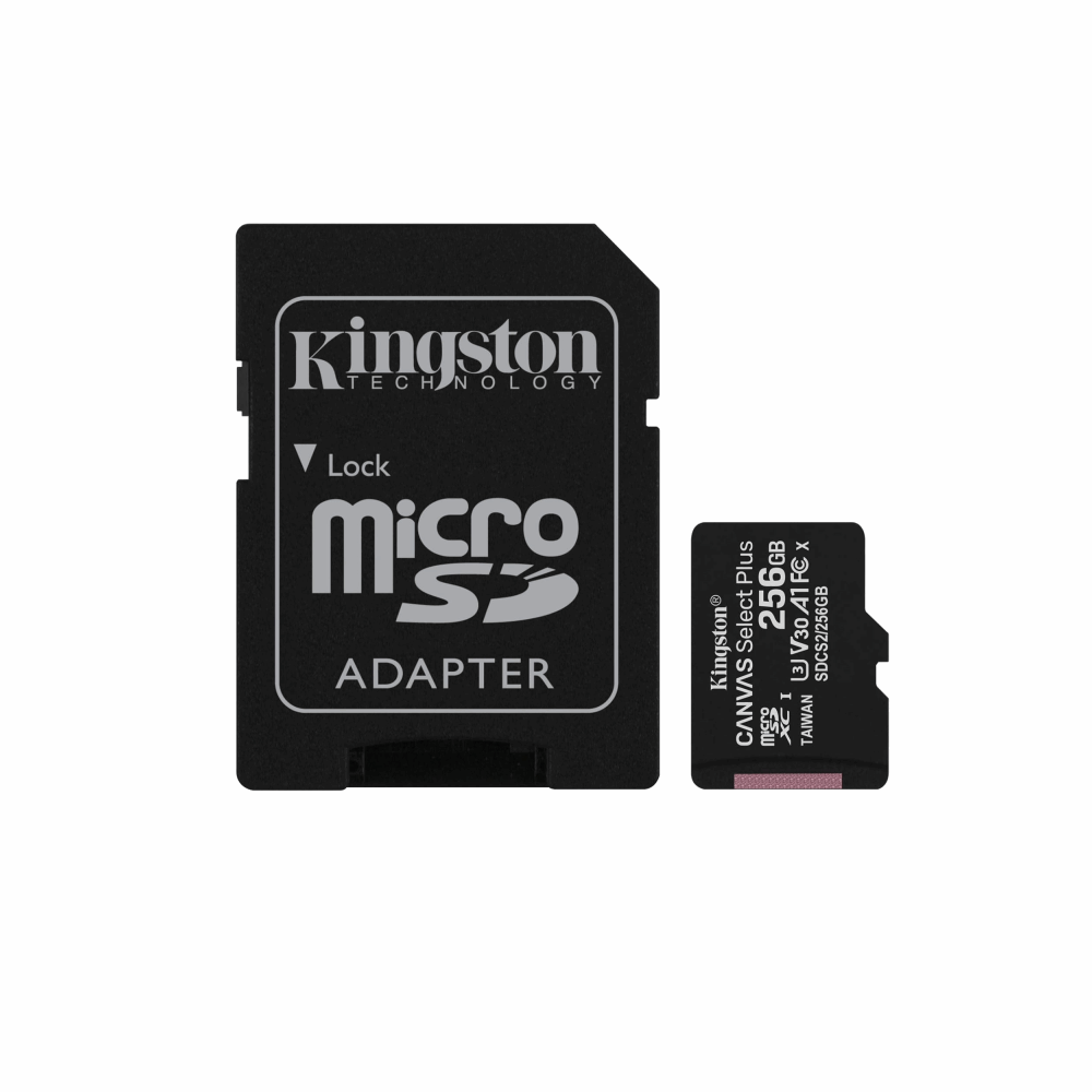 memory king stone 256G class10