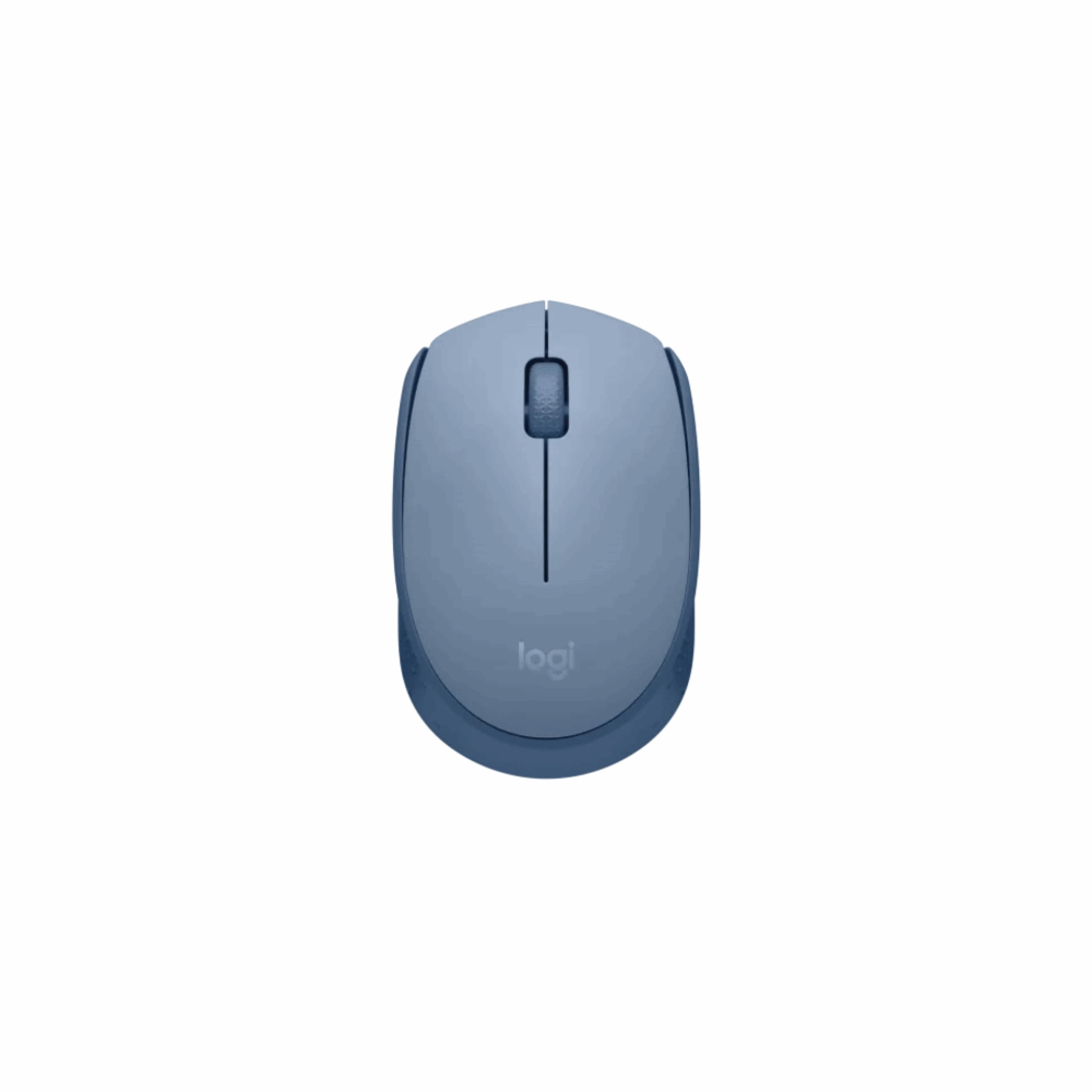 mouse Logitech M171 Wireless Blue/Grey
